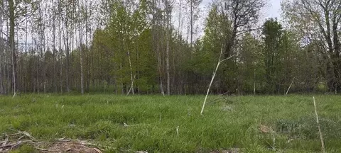 Участок в Московская область, Можайский муниципальный округ, д. ...