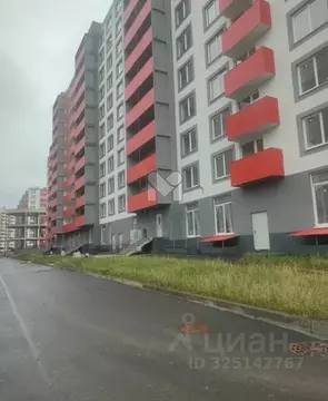 Студия Санкт-Петербург пос. Шушары, Московское ш., 262к1 (26.47 м)