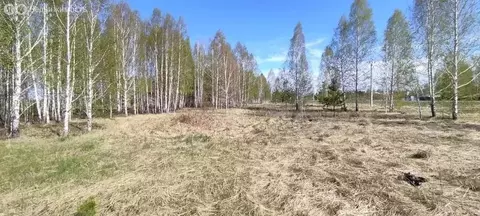 Участок в Тюмень, Центральный округ (38 м)