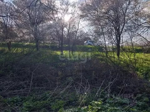 Участок в Адыгея, Майкопский район, Кужорское с/пос, Кужорская ст-ца ...