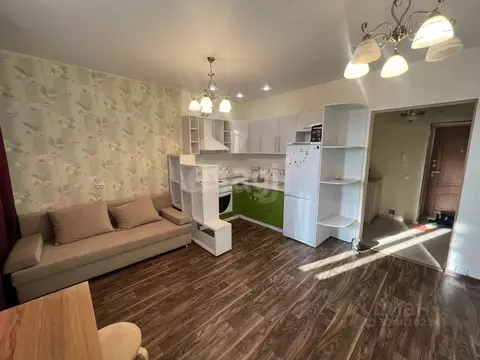 Студия Тюменская область, Тюмень ул. Беляева, 33к2 (30.0 м)