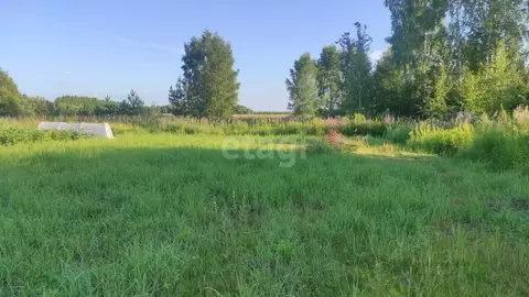 Участок в Ярославская область, Ярославский муниципальный округ, д. ...