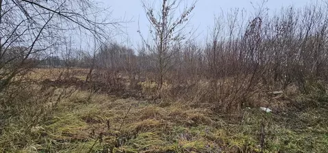 Участок в Московская область, Луховицы муниципальный округ, д. Берхино ...