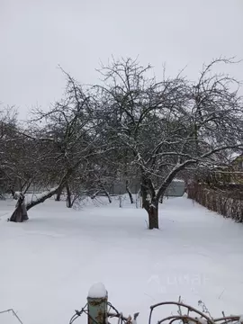 Участок в Калининградская область, Калининград Октябрьское СНТ, ул. ...