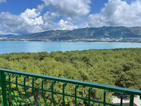 1-к кв. Краснодарский край, Геленджик ул. Южная, 35/1 (31.0 м)