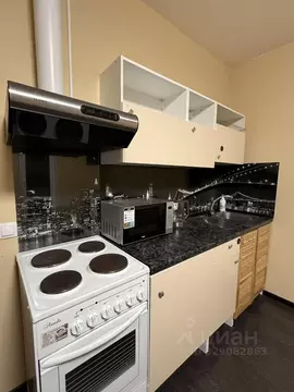 Студия Санкт-Петербург просп. Буденного, 21к1 (24.6 м)