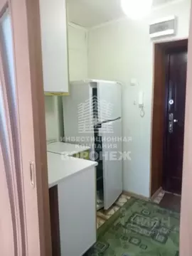 Студия Воронежская область, Воронеж ул. Урицкого, 90 (18.2 м)