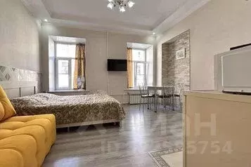 1-к кв. Санкт-Петербург Конюшенный пер., 1/6 (27.0 м)