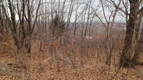 Участок в Приморский край, Артём (10 м)