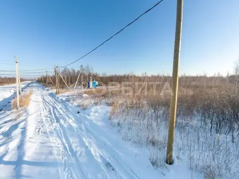 Участок в Тюменская область, Тюмень Большое Царево-1 СНТ,  (10.0 сот.)