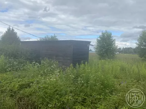 Участок в Ленинградская область, Лужский район, Скребловское с/пос, д. ...