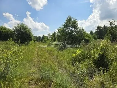 Участок в Московская область, Рузский муниципальный округ, д. Апухтино ...