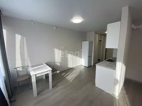 Студия Тюменская область, Тюмень Ставропольская ул., 160/1 (30.0 м)