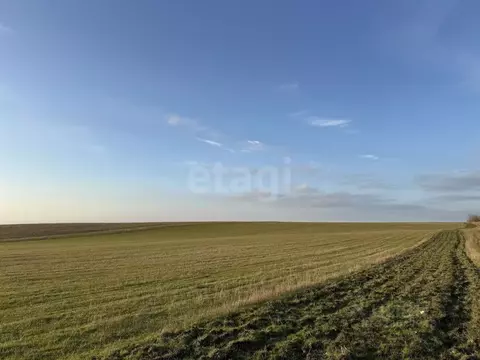 Участок в Крым, Симферопольский район, с. Трудовое  (128.0 сот.)