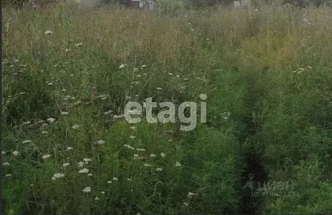 Участок в Владимирская область, Меленковский муниципальный округ, д. ...