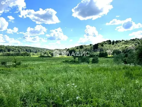 Участок в Московская область, Дмитровский муниципальный округ, село ...