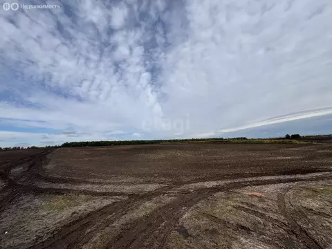 Участок в Брянский район, Добрунское сельское поселение, село ...