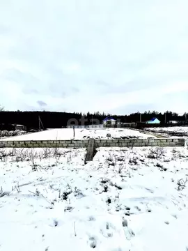 Участок в Белгородская область, Белгородский район, Дубовское с/пос, ...