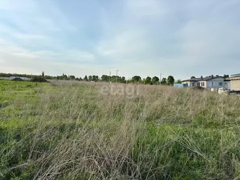 Участок в Воронежская область, Семилукский район, с. Девица ул. ...