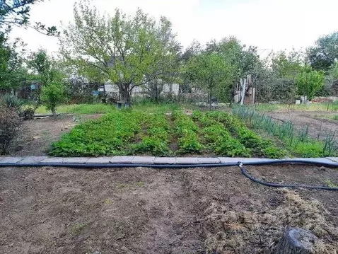 Дом в Астраханская область, Астрахань ул. 2-я Турбазовская (65 м)