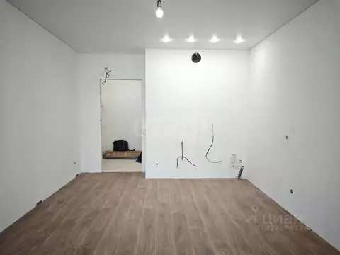 Студия Тульская область, Тула ул. Купцов Гречихиных, 10 (27.0 м)