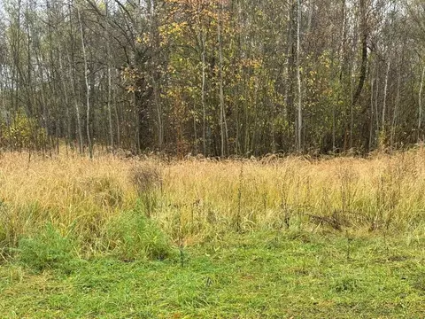 Участок в Московская область, Ногинск Богородский городской округ,  ...