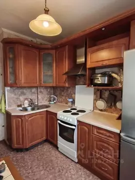 2-к кв. Санкт-Петербург Малая Карпатская ул., 17 (49.5 м)