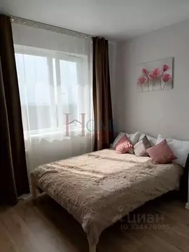 Студия Новосибирская область, Новосибирск ул. Ошанина, 5 (22.0 м)