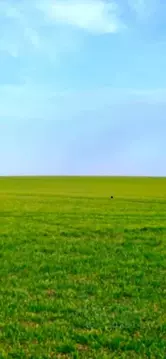 Участок в Калининградская область, Гурьевский муниципальный округ, ...