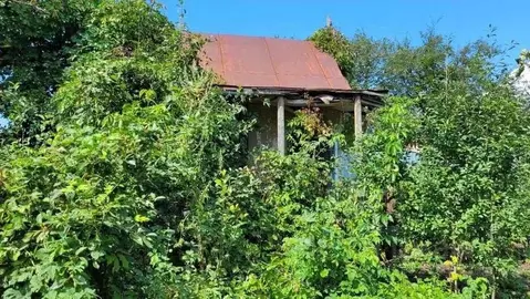 Участок в Самарская область, Жигулевск Имени Мичурина 2-3 участков ...