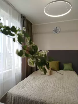 Студия Санкт-Петербург Витебский просп., 101к1 (23.8 м)