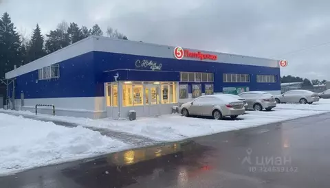 Помещение свободного назначения в Удмуртия, Вавожский район, с. Вавож ...