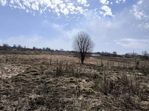 Участок в Московская область, Лотошино муниципальный округ, пос. ...