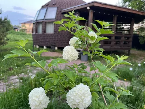 Дом в Ленинградская область, Выборгский район, Красносельское с/пос, ...