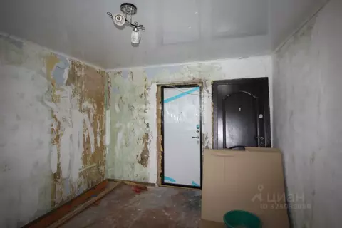 Комната Вологодская область, Шексна рп, Шексна Северная мкр ул. ...