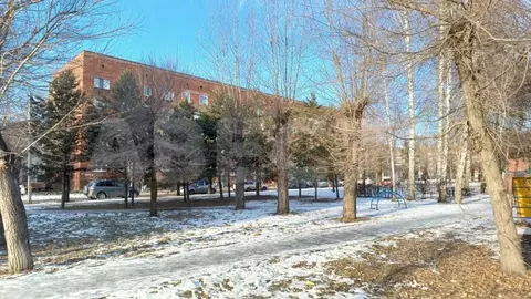 1-к кв. Омская область, Омск пос. Кордный, ул. 1-я Шинная, 46 (16.1 м)