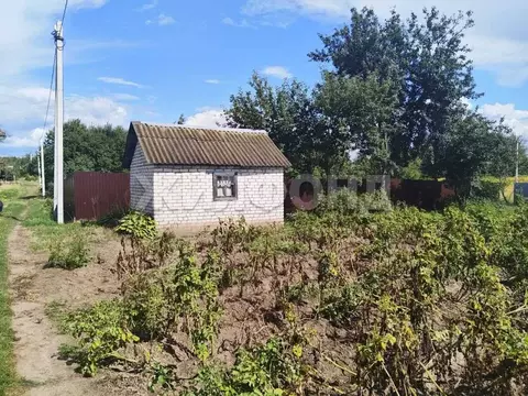 Дом в Брянская область, Брянск  (12 м)