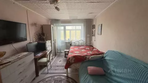 1-к кв. Челябинская область, Южноуральск ул. Куйбышева, 38 (29.5 м)