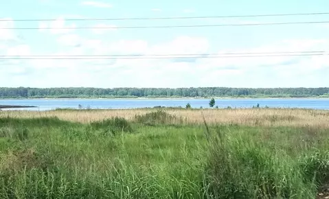 Участок в Челябинская область, Копейск Шахтер СНТ,  (11.0 сот.)