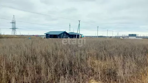 Участок в Тамбовская область, Тамбовский муниципальный округ, д. ...