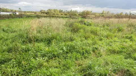 Участок в Московская область, Рузский муниципальный округ, д. ...