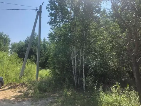 Участок в Амурская область, Благовещенский район, с. Чигири ул. ...