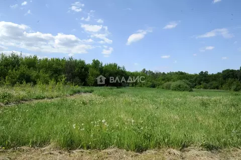 Участок в Воронежская область, Новоусманский район, с. Рогачевка ул. ...