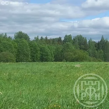 Участок в Мшинское сельское поселение, деревня Сорочкино, коттеджный ...