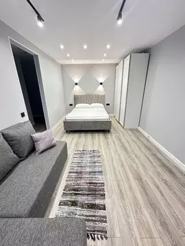 1-к кв. Татарстан, Казань Фабричная ул., 4 (30.5 м)