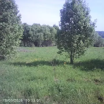 Участок в Московская область, Шаховская муниципальный округ, д. ...