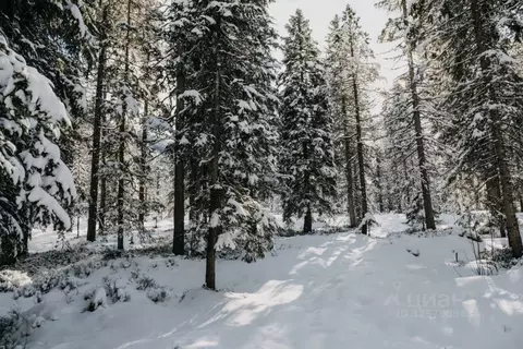 Участок в Московская область, Одинцовский городской округ, д. Дунино  ...