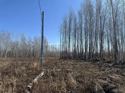 Участок в Хабаровский край, Хабаровский район, с. Черная Речка  (30.0 ...