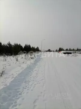 Участок в Тюменская область, Тюменский район, пос. Андреевский ул. ...