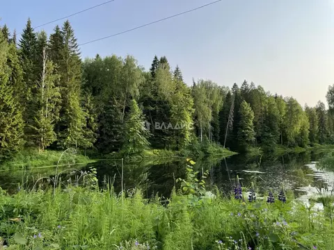 Участок в Пермский край, Родник садовые участки  (10.0 сот.)